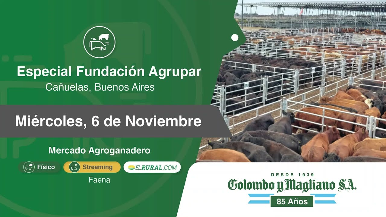 Colombo y Magliano S.A | Cañuelas, Bs. As. | Próximo Remate Feria el miércoles 06 de noviembre del 2024