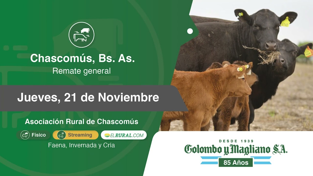 Colombo y Magliano S.A | Chascomús, Bs. As. | Próximo Remate Feria el jueves 21 de noviembre del 2024
