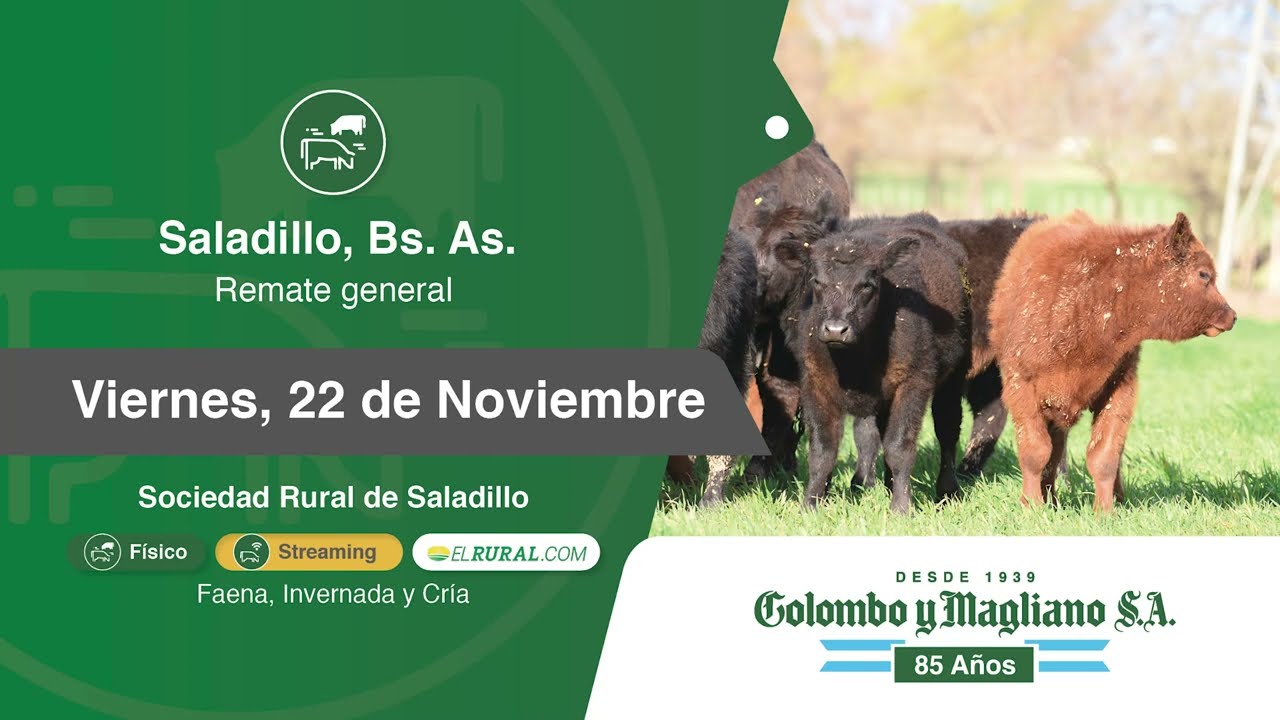 Colombo y Magliano S.A | Saladillo, Bs. As. | Próximo Remate Feria el Viernes 22 de noviembre del 2024