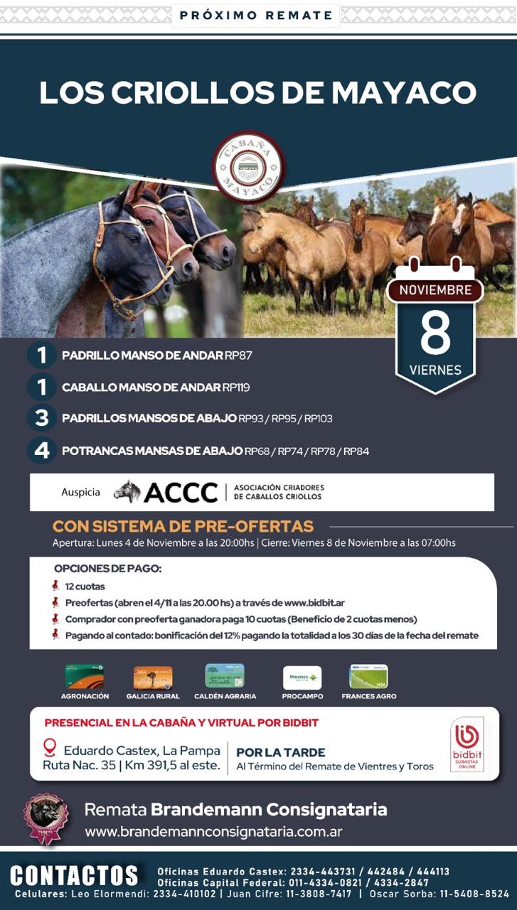 1º Remate de Vientres seleccionados y Toros jóvenes marca Mayaco| Brandemann Consignataria S.R.L. | Eduardo Castex, La Pampa | Próximo Remate Feria el viernes 8 de noviembre 2024