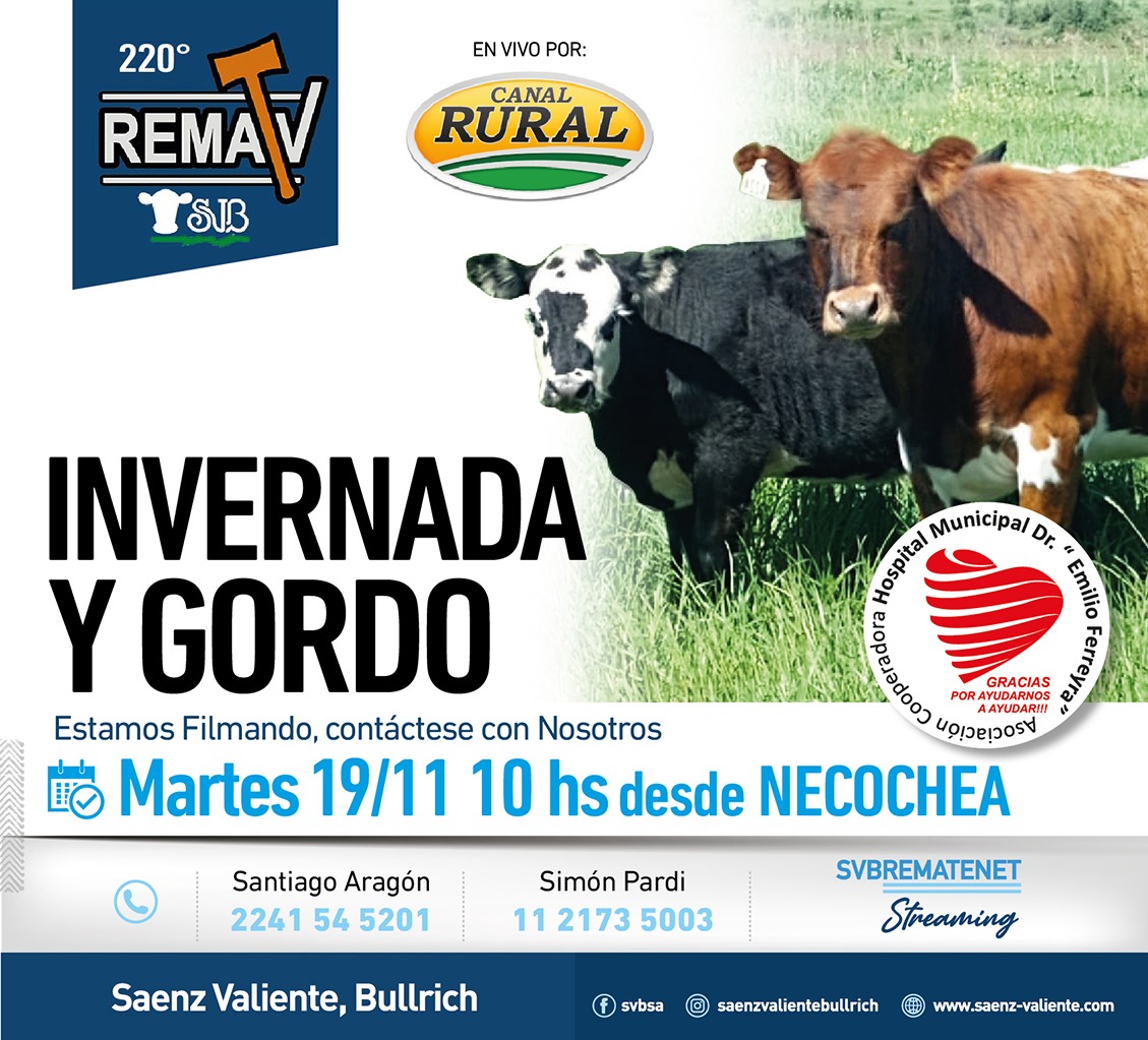 Saenz Valiente, Bullrich | Necochea, , Prov. Bs As. | Próximo Remate Feria el martes 19 noviembre 2024