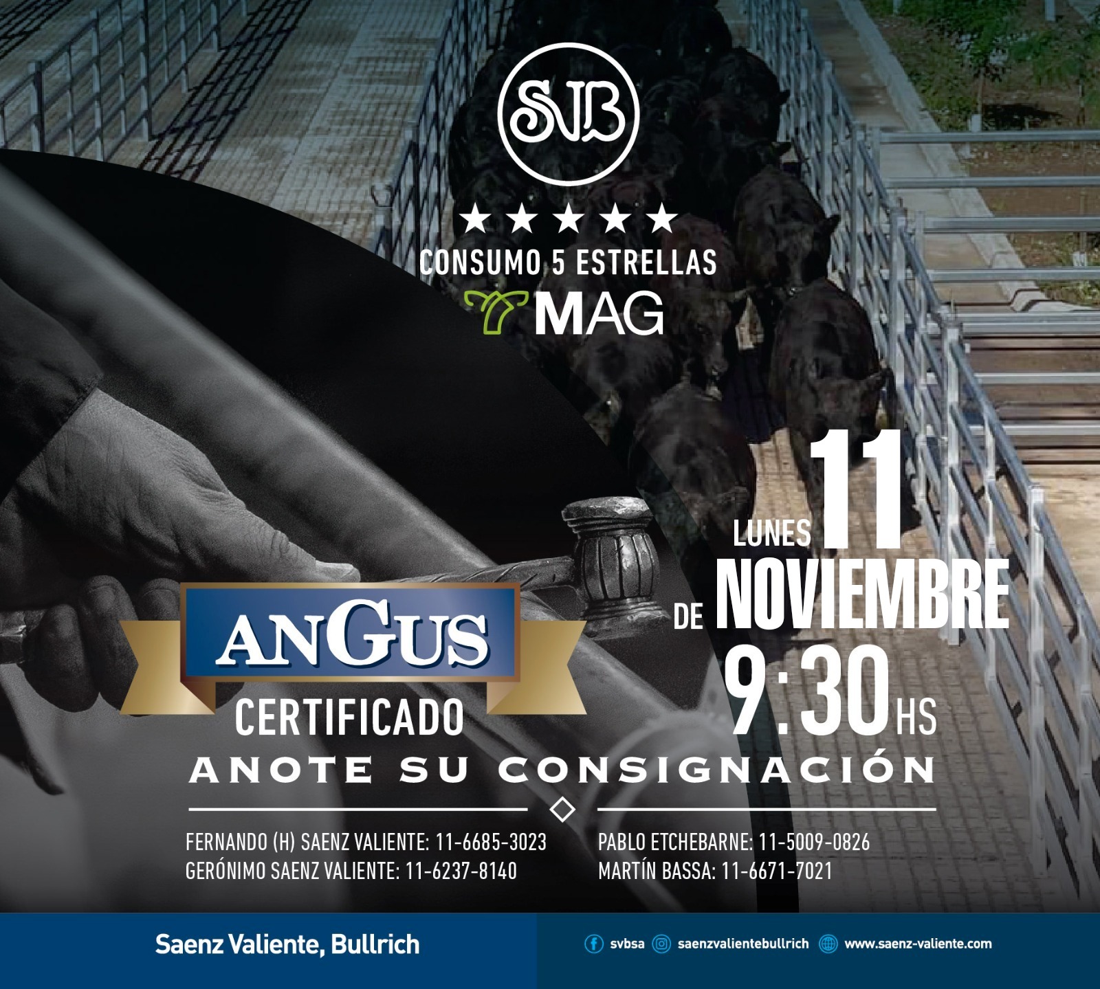 Saenz Valiente, Bullrich| MAG |Próximo Remate Feria el Lunes 11 de Noviembre 2024