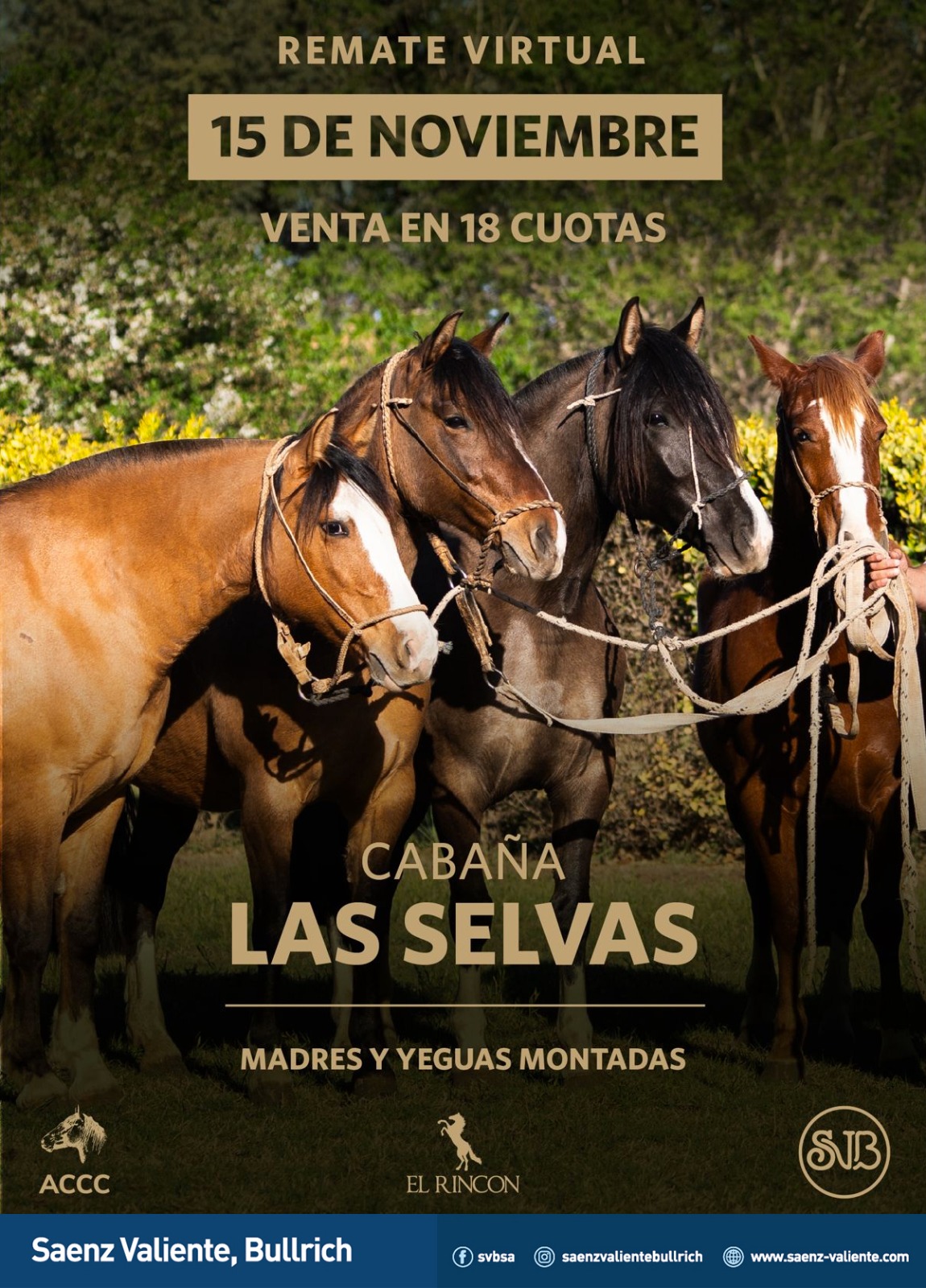 Saenz Valiente, Bullrich | Remate virtual de Caballos | Próximo Remate Feria el viernes 15 de noviembre 2024