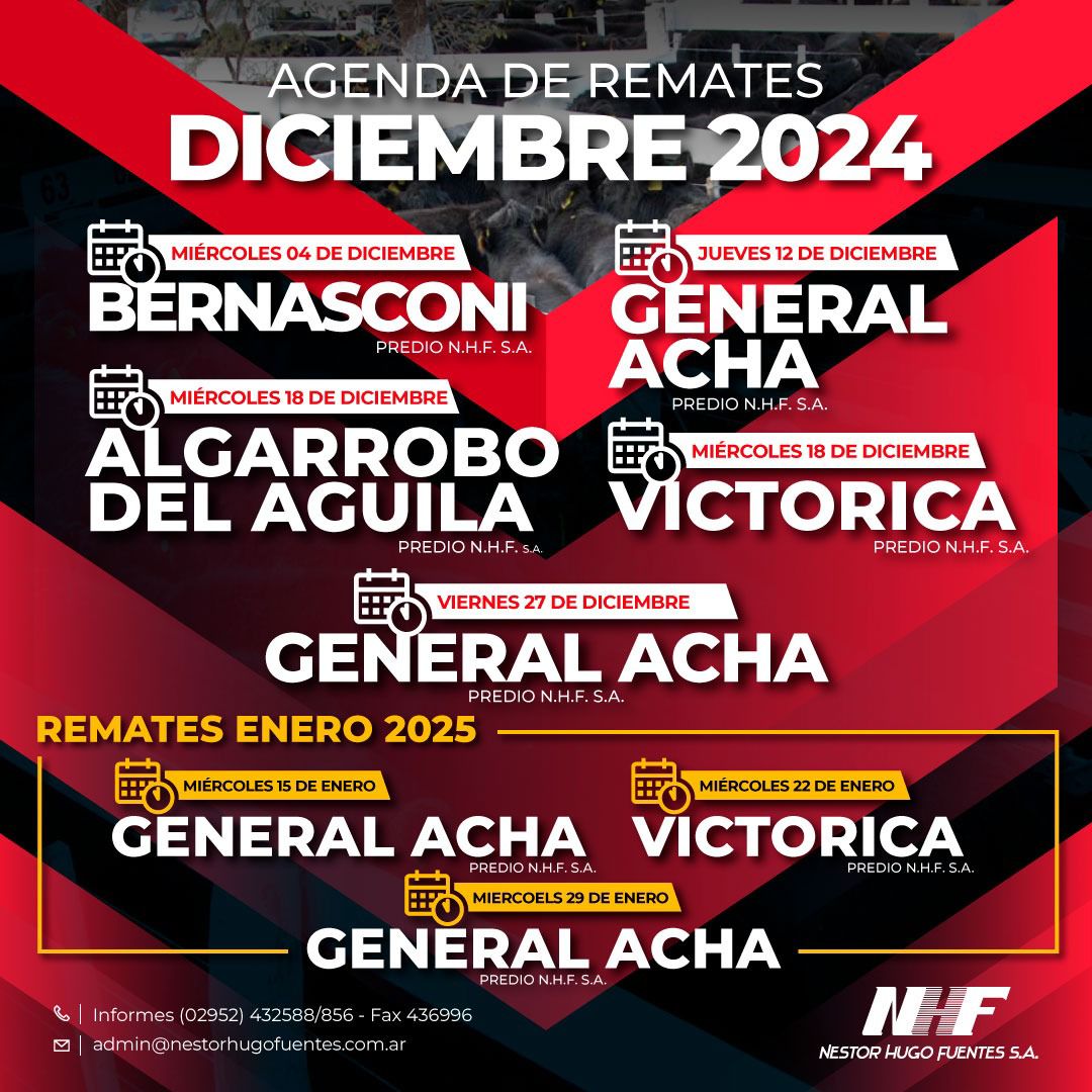 Néstor Hugo Fuentes S.A. | General Acha | Próximo Remate Feria el viernes 27 de diciembre de 2024