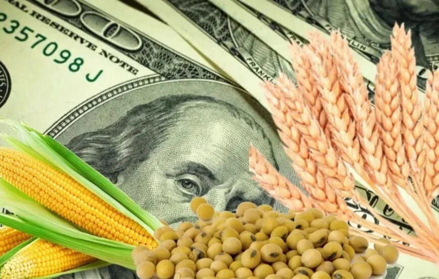 El campo le da aire al superávit de Milei: en el balance fiscal, las retenciones dejan 80% más ingresos