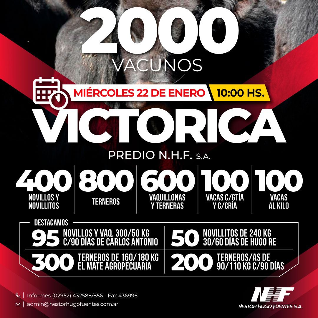 Néstor Hugo Fuentes S.A. | Victorica | Próximo Remate Feria el miércoles 22 de enero de 2025