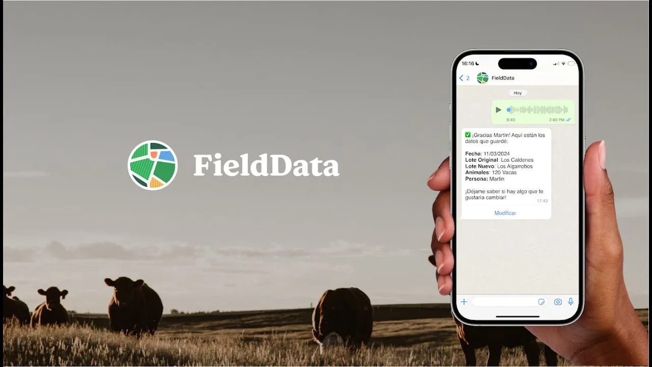 Lanzan App para gestionar la ganadería por WhatsApp