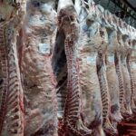 Un frigorífico clave de La Pampa enfrenta despidos masivos y una deuda millonaria que pone en jaque su continuidad