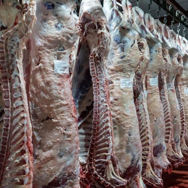 Un frigorífico clave de La Pampa enfrenta despidos masivos y una deuda millonaria que pone en jaque su continuidad