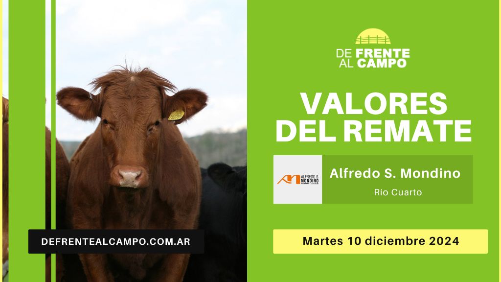 Valores del remate de Alfredo S. Mondino | Río Cuarto | martes 10/12/2024