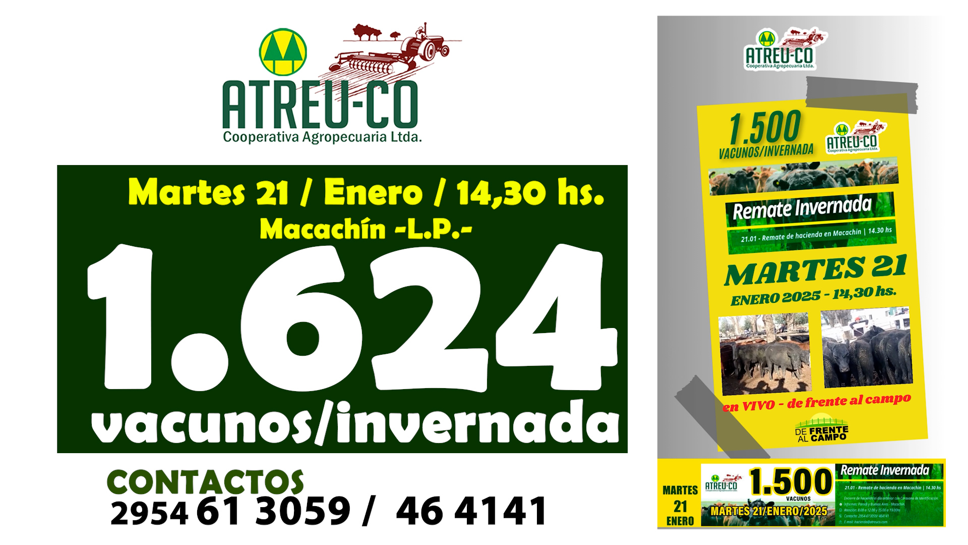 Remate Feria de Atreu-Có Coop. Agrop. |Macachín – L.P. | 21-01-2025