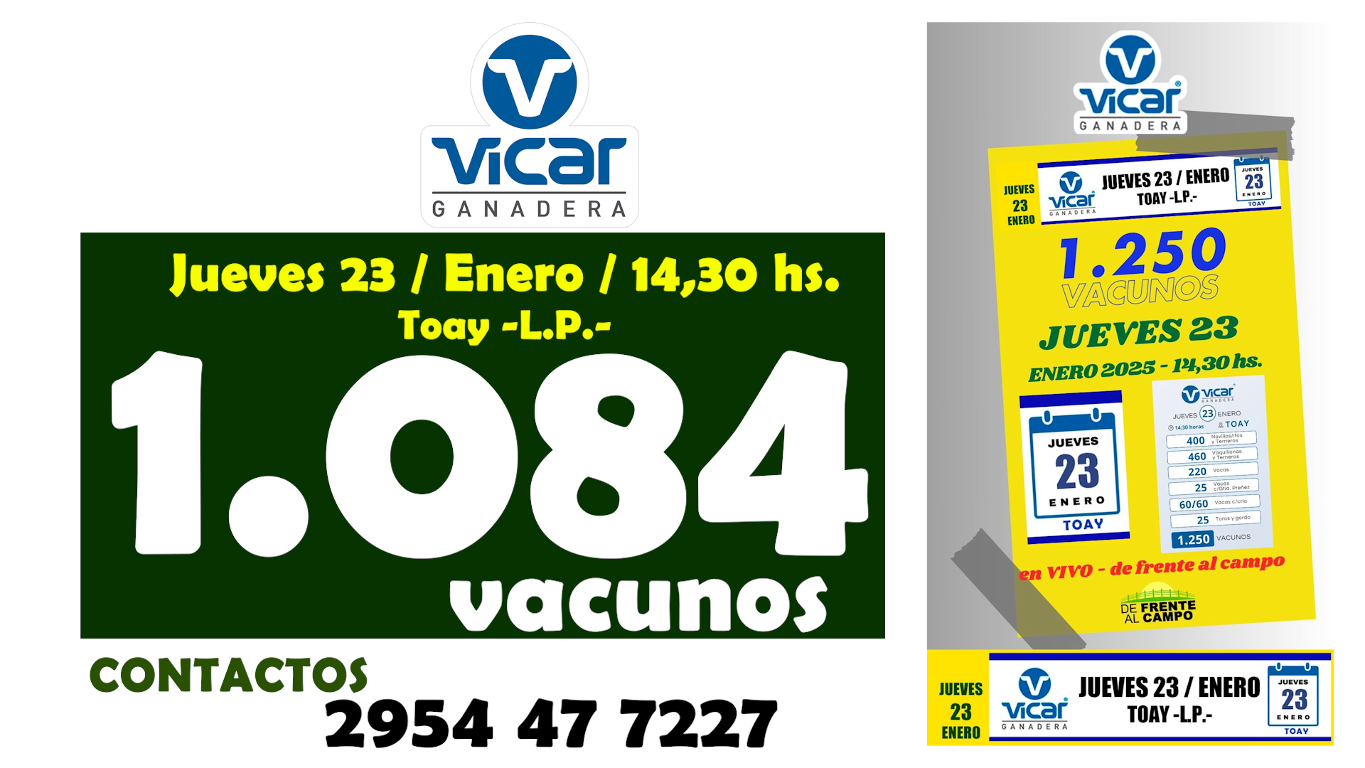 Remate de Vicar Ganadera S.A. | Toay | 23/01/2025
