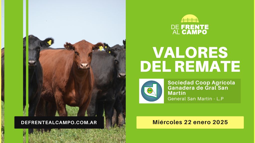 Valores del remate de Sociedad Cooperativa Agrícola Ganadera Ltda. | General San Martín – L.P. | 22-01-2025