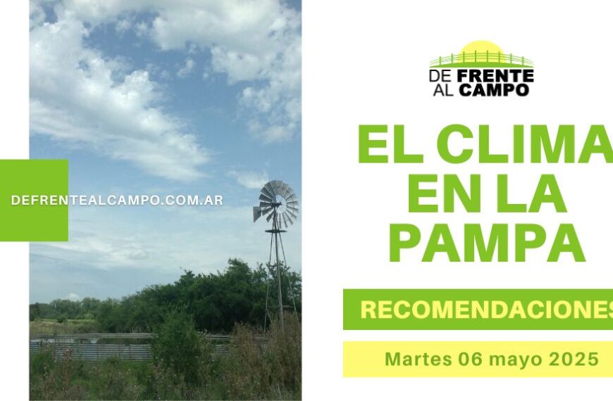 Clima en La Pampa: humedad alta, ráfagas de hasta 43 km/h y máxima de 23 °C (Martes 6 de mayo 2025)