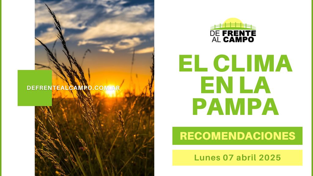 Lunes 07 de abril fresco y húmedo en La Pampa: lluvias al oeste y viento en toda la provincia