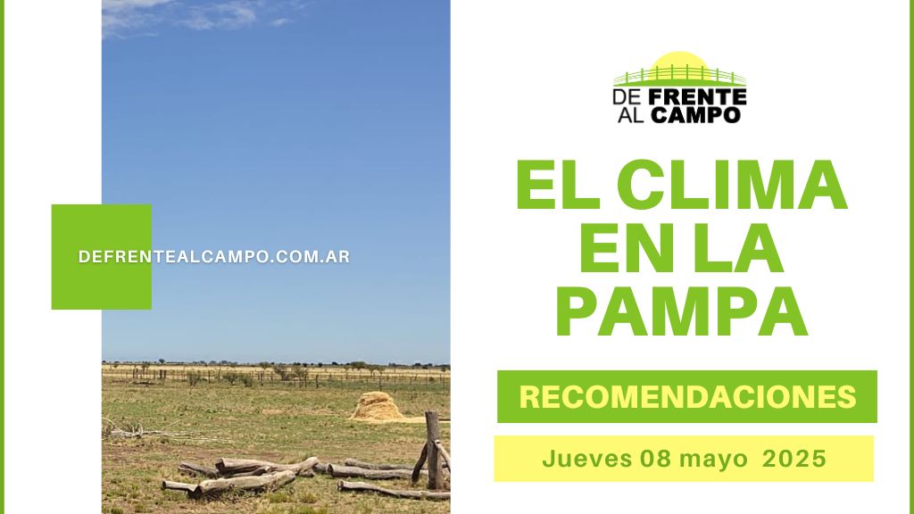 Vientos moderados y sin lluvias en La Pampa: se espera un jueves con 7 °C / 20 °C y alta humedad (Jueves 08 de mayo 2025)