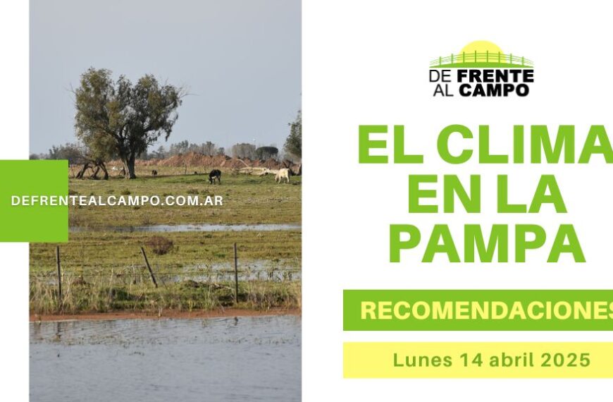 Clima en toda La Pampa hoy (14/4): tormentas eléctricas, hasta 20 °C y ráfagas de 44 km/h – alerta vigente