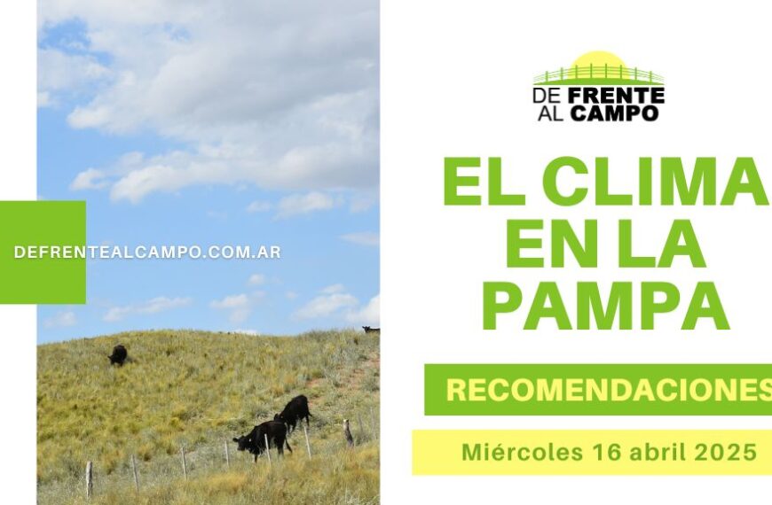 Chaparrones generalizados, humedad elevada y ráfagas fuertes: se mantiene la inestabilidad en La Pampa con máxima de 19°C (Miércoles 16 de abril 2025)