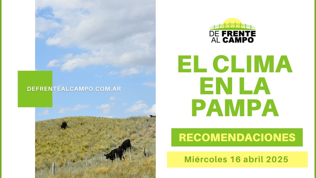 Chaparrones generalizados, humedad elevada y ráfagas fuertes: se mantiene la inestabilidad en La Pampa con máxima de 19°C (Miércoles 16 de abril 2025)
