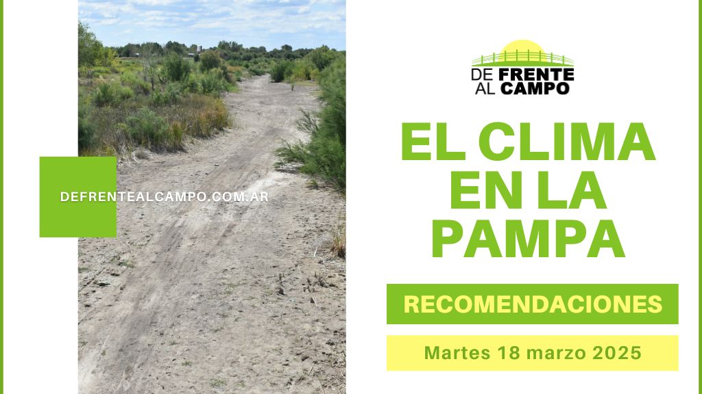 Jornada Cálida y Húmeda en Toda la Provincia este Martes 18 de Marzo de 2025, con Precaución por Chaparrones Aislados.