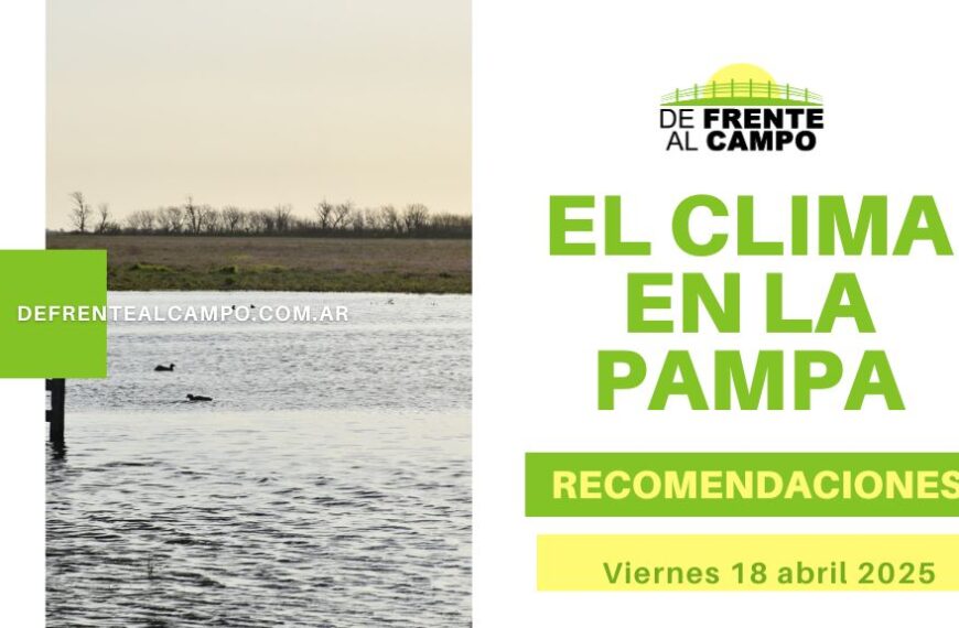 Jornada fresca al amanecer y templada por la tarde: mínima de 3 °C y máxima de 20 °C en La Pampa este viernes 18 de abril