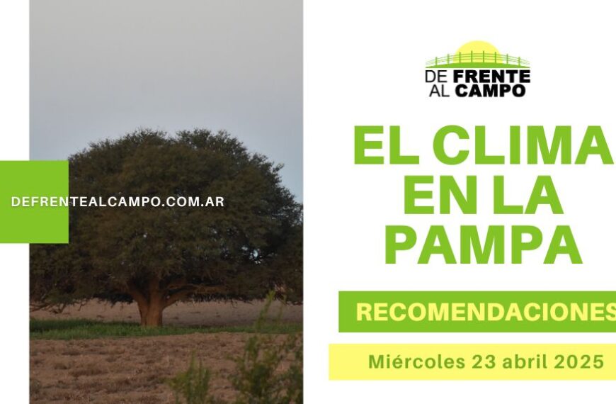 Jornada estable y templada en La Pampa: 12 °C / 25 °C, con nubosidad en aumento y ráfagas leves (Miércoles 23 de abril 2025)