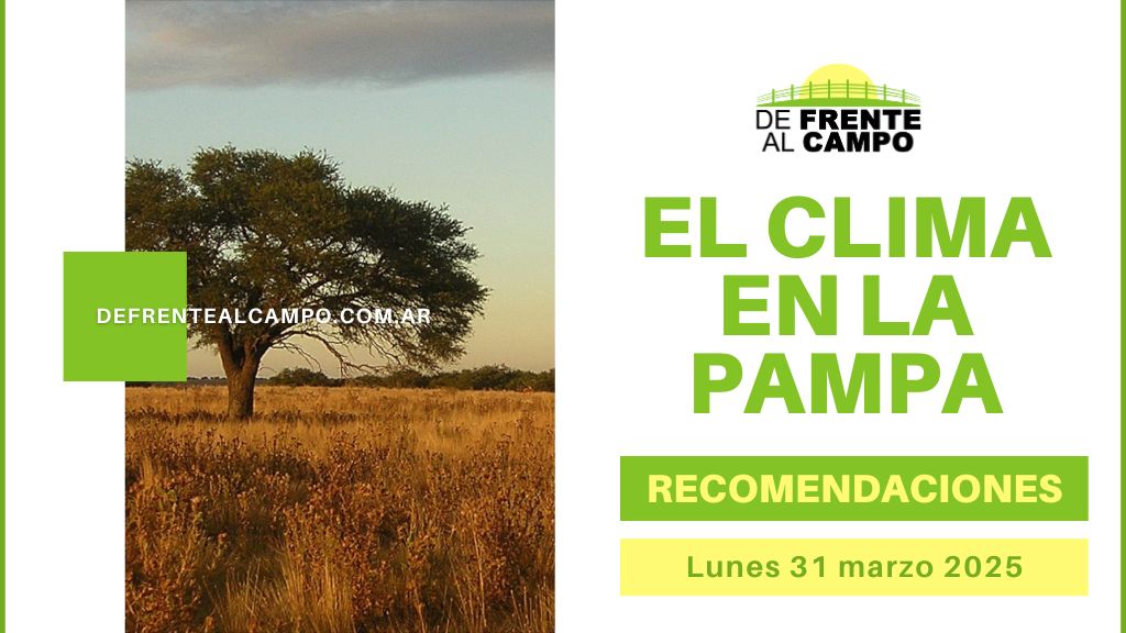 Lunes 31 de marzo: Jornada Soleada en Toda la Provincia con Viento en Algunas Zonas
