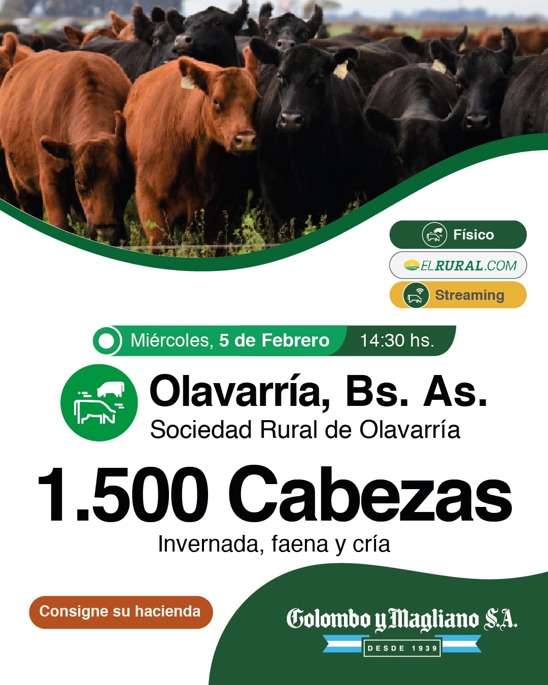 Colombo y Magliano S.A. | Olavarría | Próximo Remate Feria el miércoles 5 de Febrero 2025