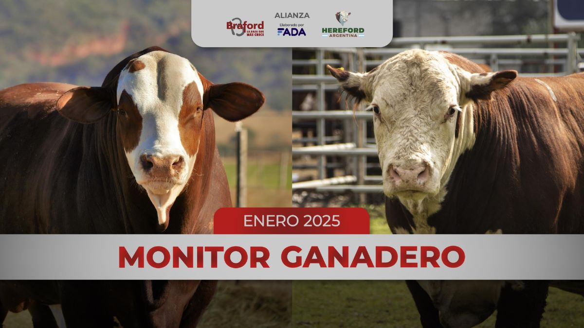 Producción y precios ganaderos: balance y tendencias en enero 2025
