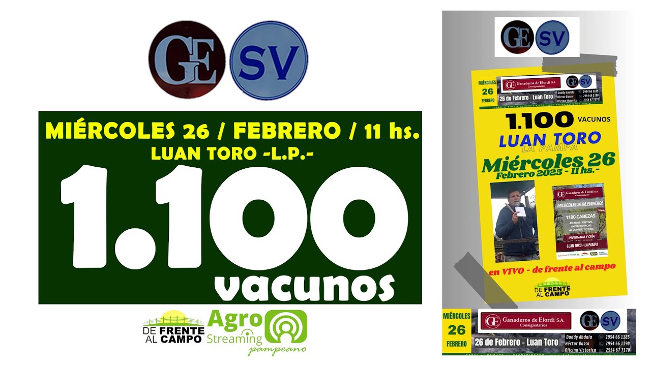 Ganaderos de Elordi S.A. y Sociedad Victorica S.R.L. | Luan Toro | Próximo Remate Feria el miércoles 26 de febrero de 2025
