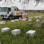 Productores apícolas deberán actualizar el stock de colmenas para fortalecer la trazabilidad sanitaria