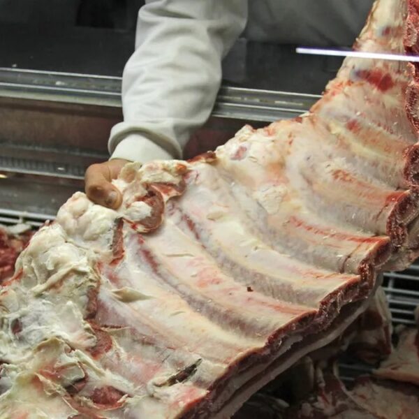 Avance y marcha atrás del Gobierno: suspenden ingreso de carne del norte a la Patagonia tras fuerte rechazo