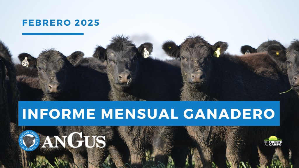 Mercado Ganadero Febrero 2025: Firmeza en los Precios y Perspectivas de la Zafra