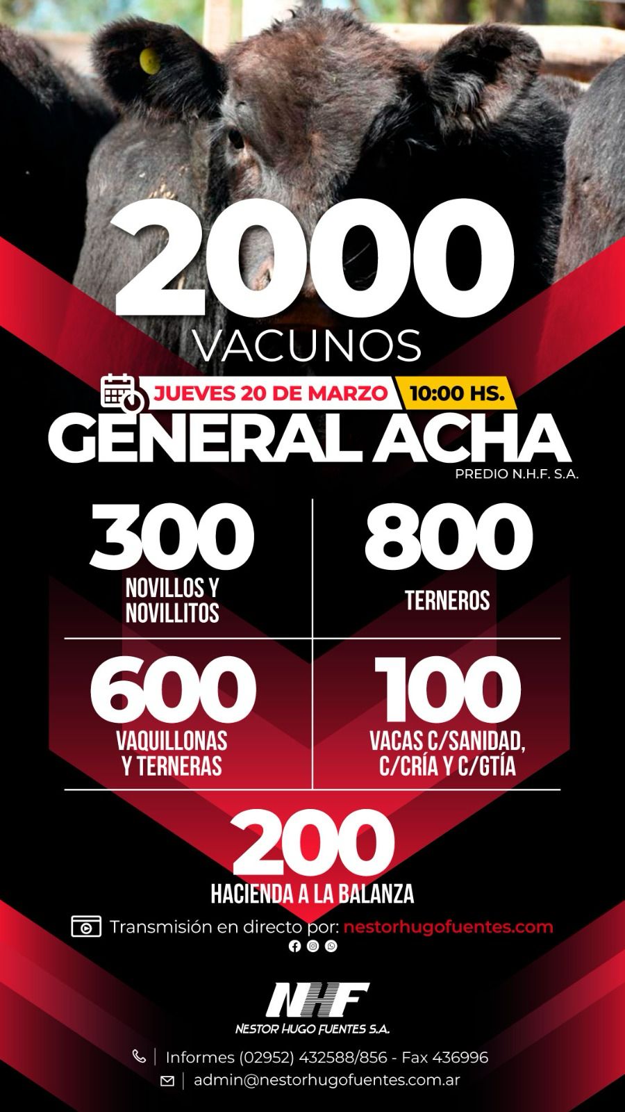 Néstor Hugo Fuentes S.A. | General Acha | Próximo Remate Feria el Jueves 20 de marzo 2025