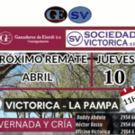 Ganaderos de Elordi S.A. | Victorica | Próximo Remate Feria el 09 de abril