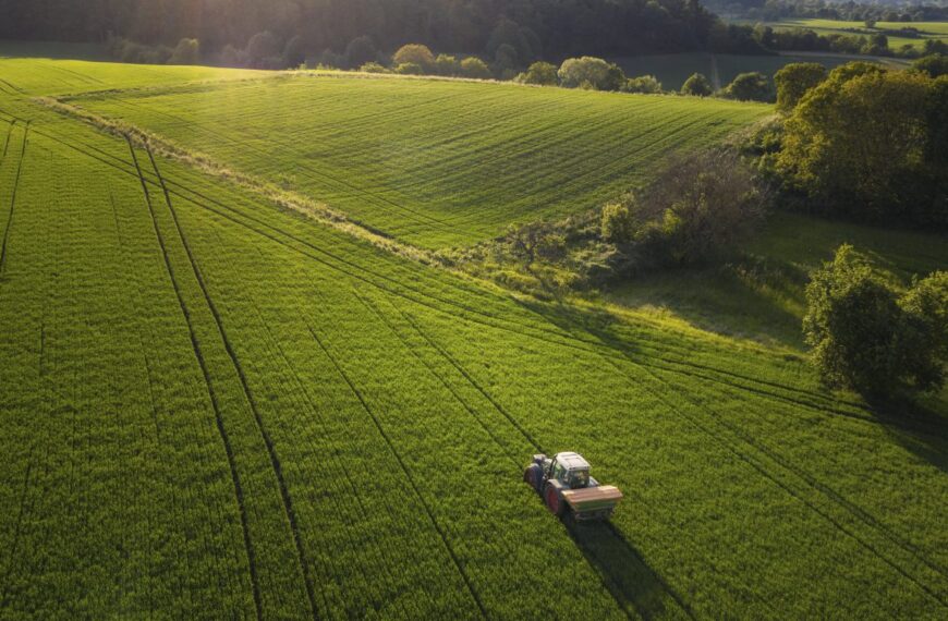 Agroindustria argentina: Tecnología y soluciones innovadoras que impulsan el campo