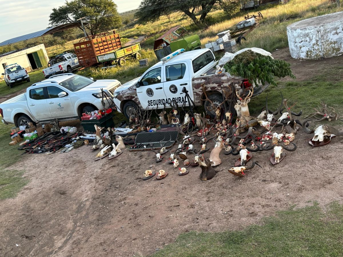 Allanamiento rural en “Quitral co”: incautan armas, trofeos de caza ilegales y cultivo de marihuana