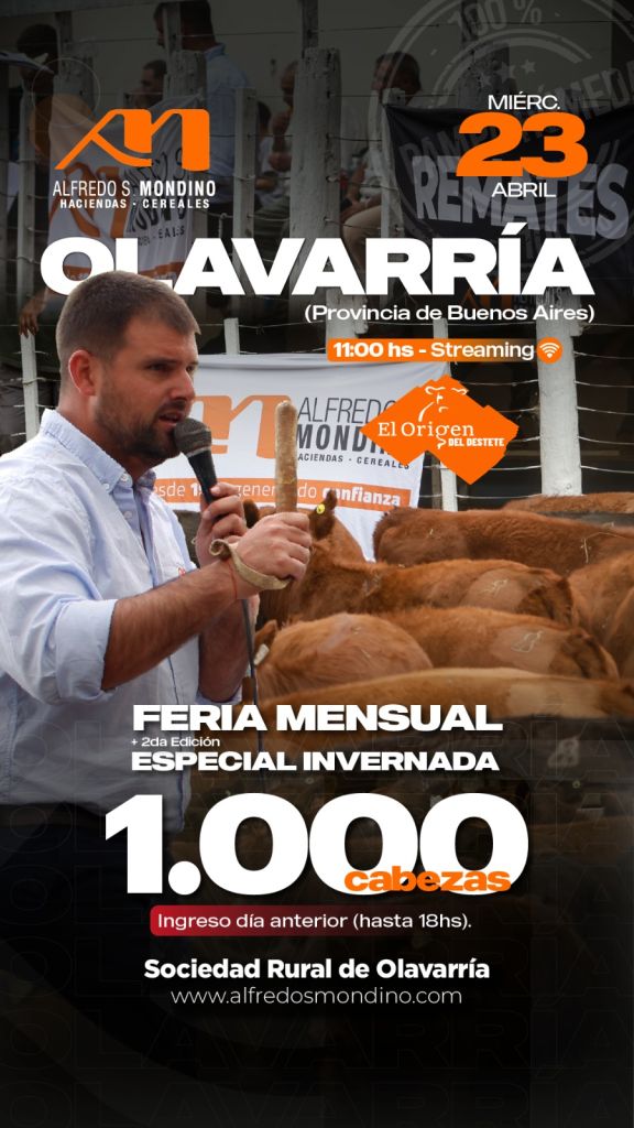 Alfredo S. Mondino | Olavarría | Próximo Remate Feria el miércoles 23 de abril de 2025
