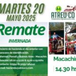ATREU-CO | Macachín – La Pampa | Próximo Remate Feria el martes 20 de mayo del 2025