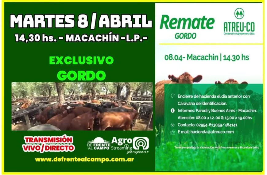 Remate Feria de ATREU-CO | Macachín | Martes 08/04/2025