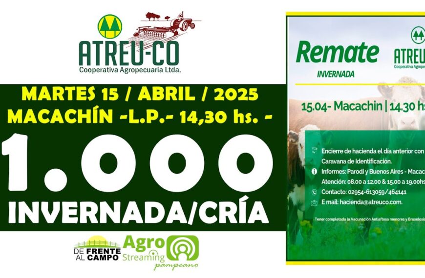 Remate Feria de ATREU-CO Cooperativa Agropecuaria Ltda. | Macachín | Martes 15/04/2025