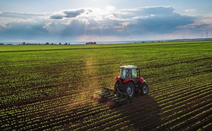 La baja “permanente” de retenciones y las lluvias renovaron el ánimo del campo argentino