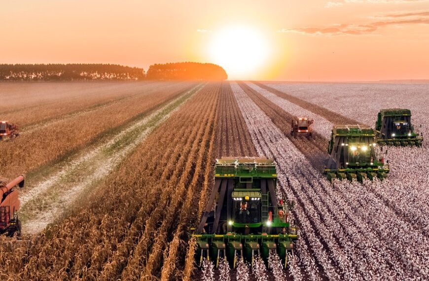 Retenciones: una alternativa audaz que podría potenciar al agro argentino
