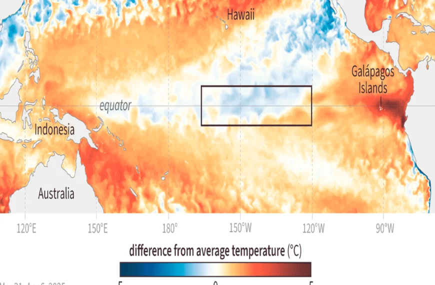 ENSO en zona neutral: El Niño no se presenta y aumenta la incertidumbre climática