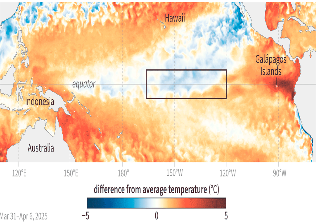 ENSO en zona neutral: El Niño no se presenta y aumenta la incertidumbre climática