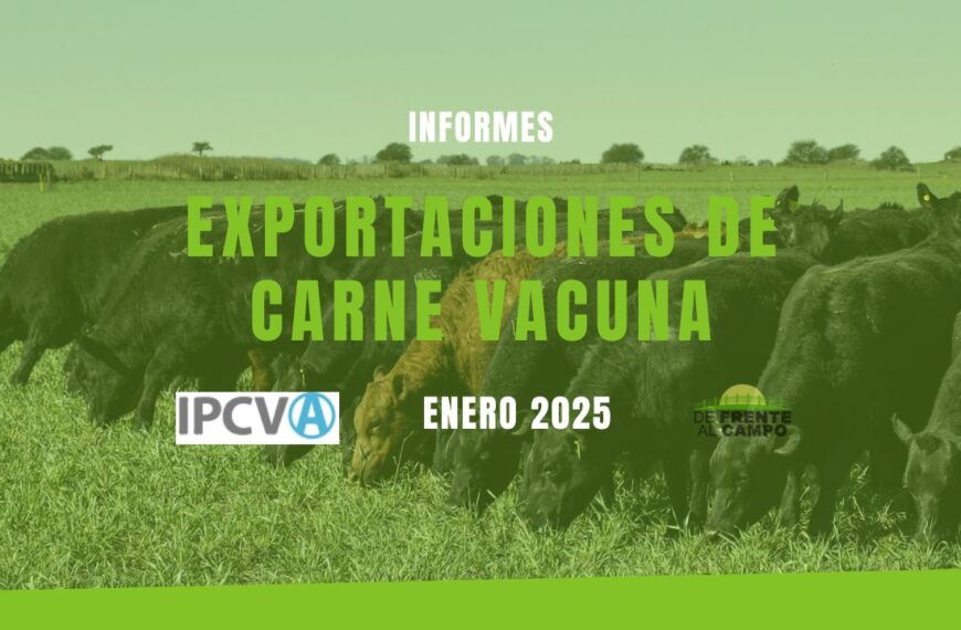 Exportaciones de carne vacuna: fuerte caída en enero 2025, pero con precios en alza