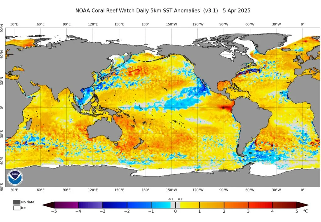 La polémica La Niña 2024/2025: NOAA la reconoce, pero la excluye de sus registros históricos