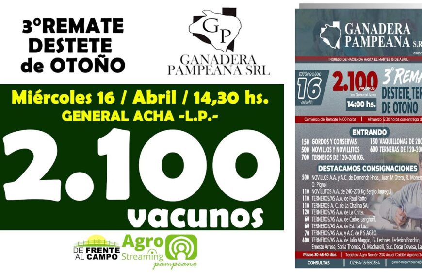 Remate Feria de Ganadera Pampeana S.R.L. | General Acha | Miércoles  16/04/2025