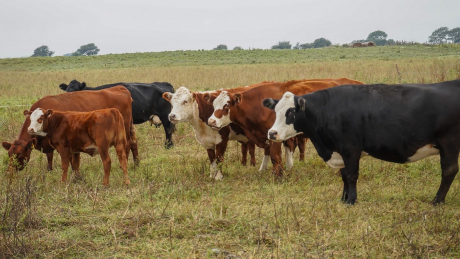 Nación excluyó a La Pampa de la reunión federal por la barrera sanitaria