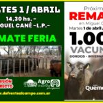 Grupo Quemú | Miguel Cané, La Pampa | Próximo Remate Feria el: Martes 1 de abril 2025